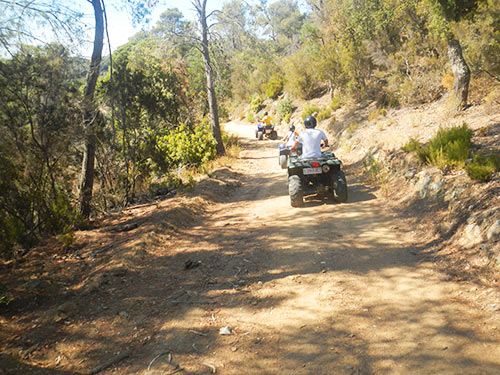Quad Safari Quad Safari