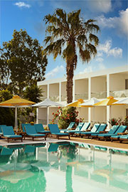Chill-out Unter Palmen am Pool relaxen!